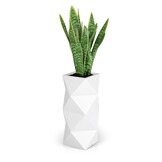 Bloempot Monumo Asti 78cm met LED verlichting - Wit - 56% Korting!