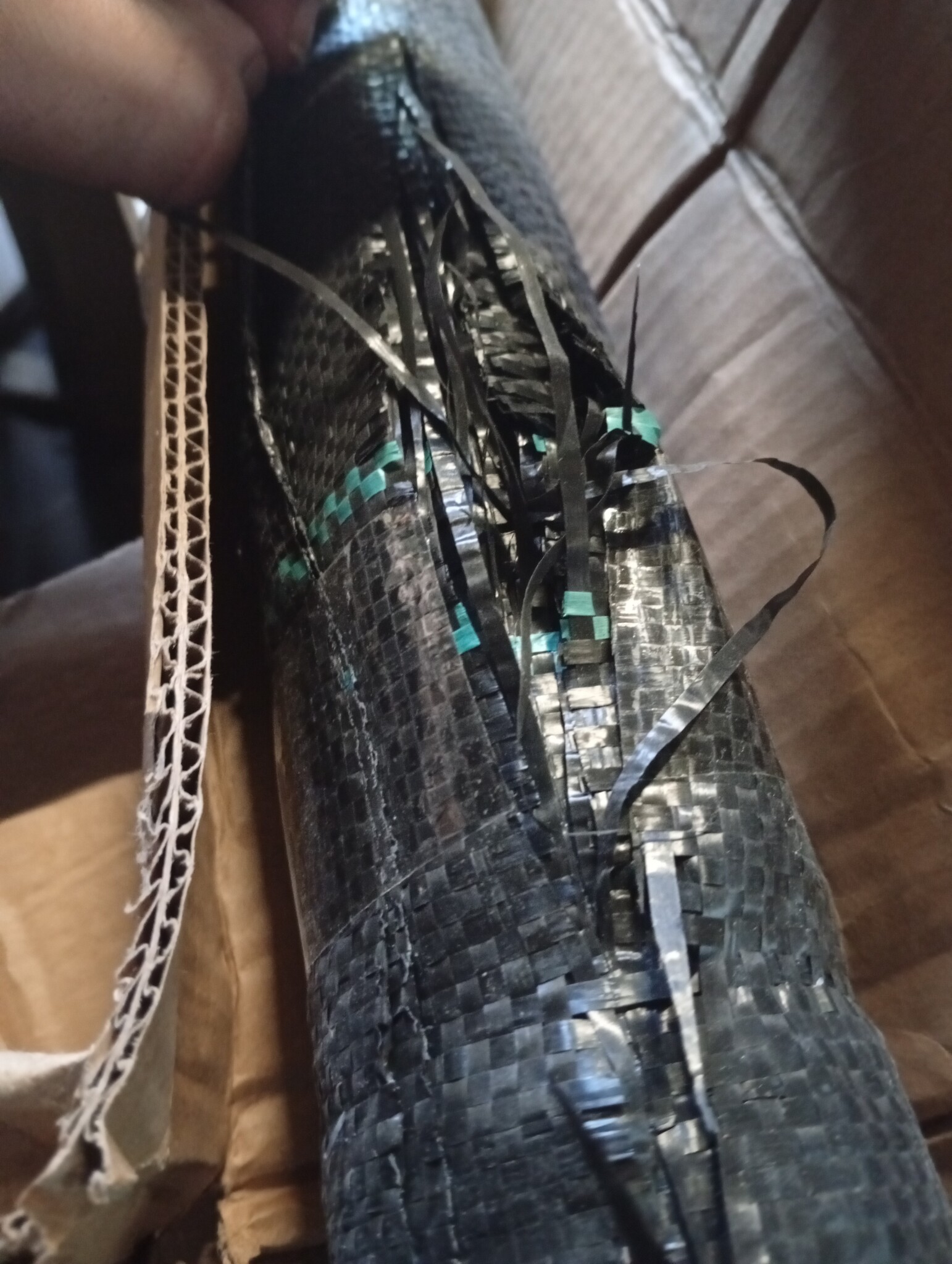 vidaXL Worteldoek 2x5m PP Zwart - Nu 60% Korting!