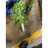 Kunstkerstboom Spar Groen 180 cm - Retourproduct