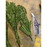 Kunstkerstboom Spar Groen 180 cm - Retourproduct