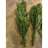 Kunstkerstboom Spar Groen 180 cm - Retourproduct