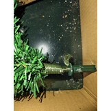 Kunstkerstboom 160 cm - Sneeuw & Dennenappels - Houten Stam