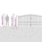 vidaXL Tuinpoort Zwart 100x400cm - 60% Korting!