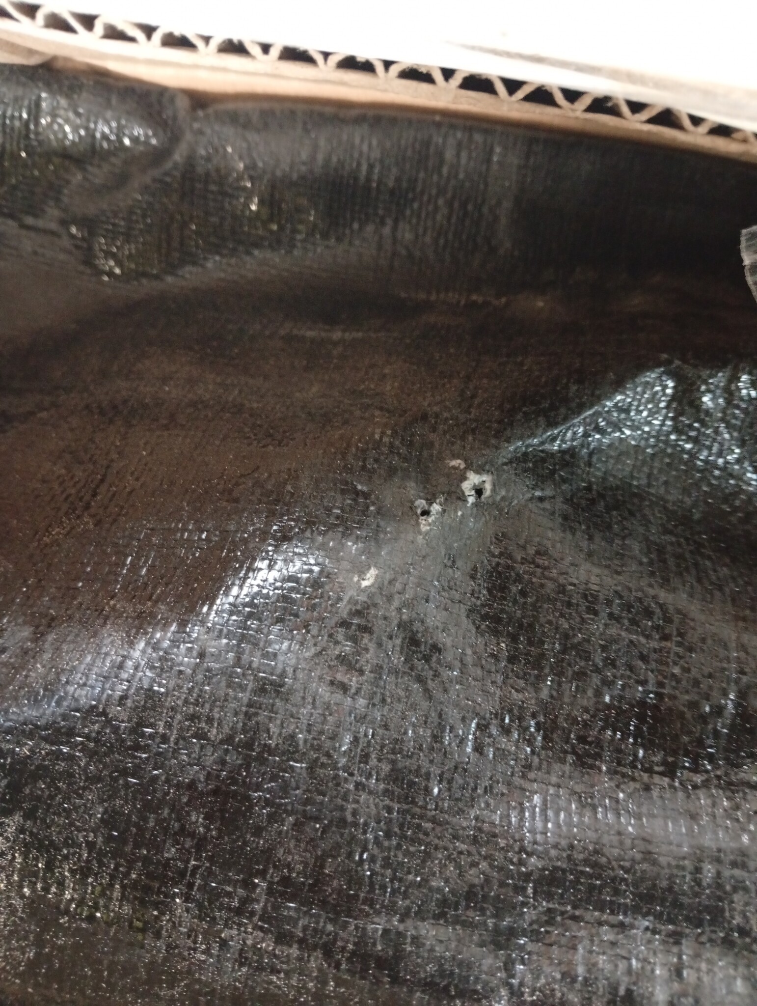 vidaXL Zwembadkoepel 559x275 cm - 55% Korting