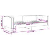 VidaXL Slaapbank 100x200 cm - Donkergrijs | 35% Korting!