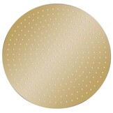 vidaXL Regendouchekop Rond 40cm RVS Goud - 35% Korting!