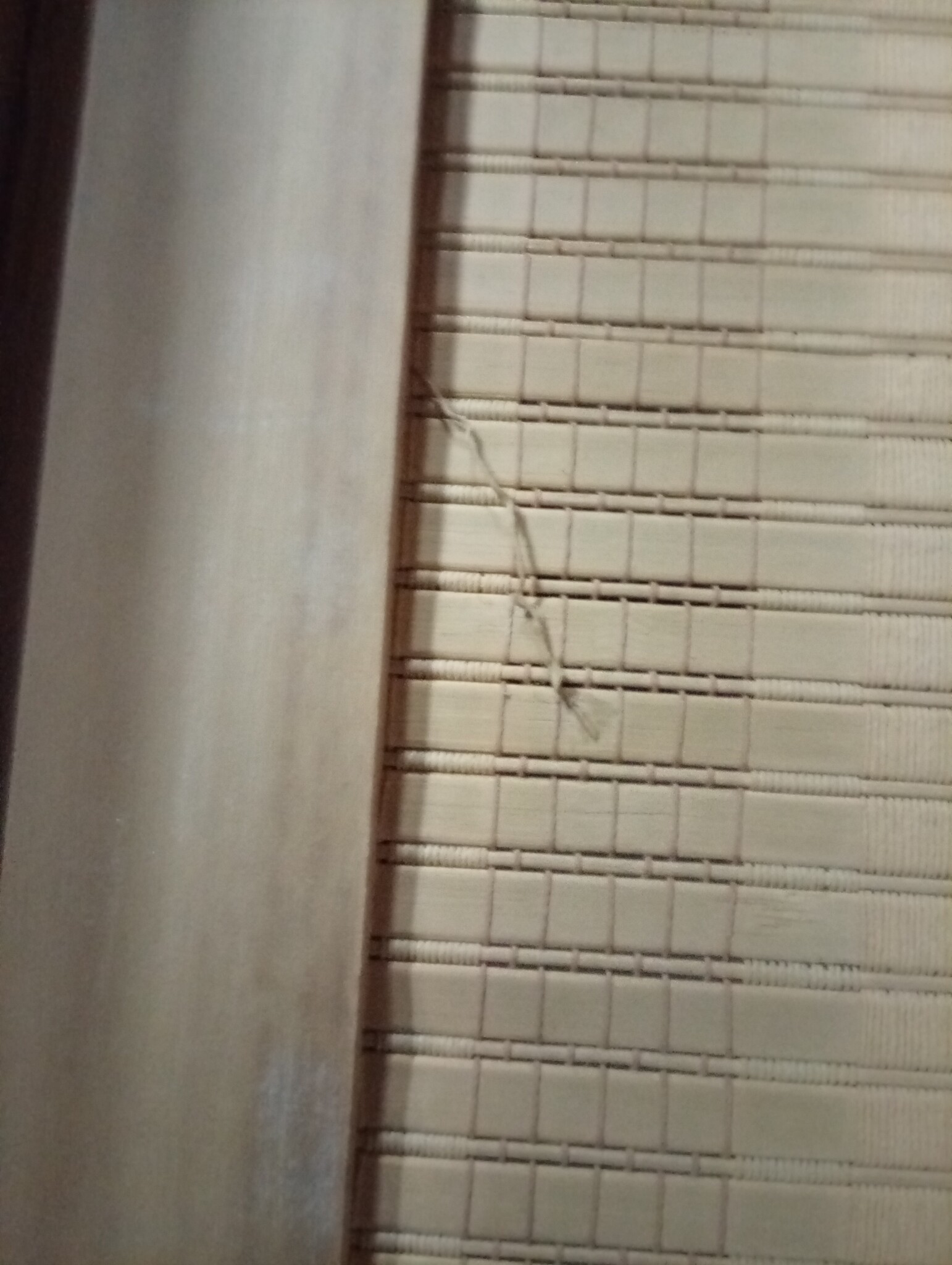 vidaXL Kamerscherm Paulowniahout Bruin - 55% Korting!