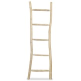 VidaXL Handdoekenladder Teakhout - 45x150 cm - 35% Korting!