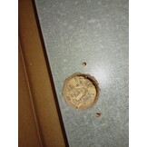 VidaXL Badkamerkast met Spiegel & LED | 55% Korting!