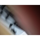 vidaXL Deurluifel 200x75 cm (55% Korting!) - Geretourneerd