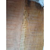 vidaXL Tafelblad Massief Mangohout 90x80cm - 64% Korting!