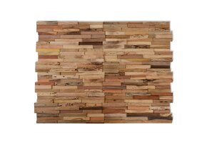 vidaXL Wandpanelen Teakhout 10 stuks - 60% Korting