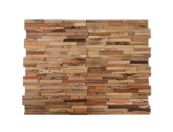 vidaXL Wandpanelen Teakhout 10 stuks - 60% Korting