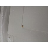 vidaXL Nachtkastjes 2 st hoogglans wit | 55% Korting