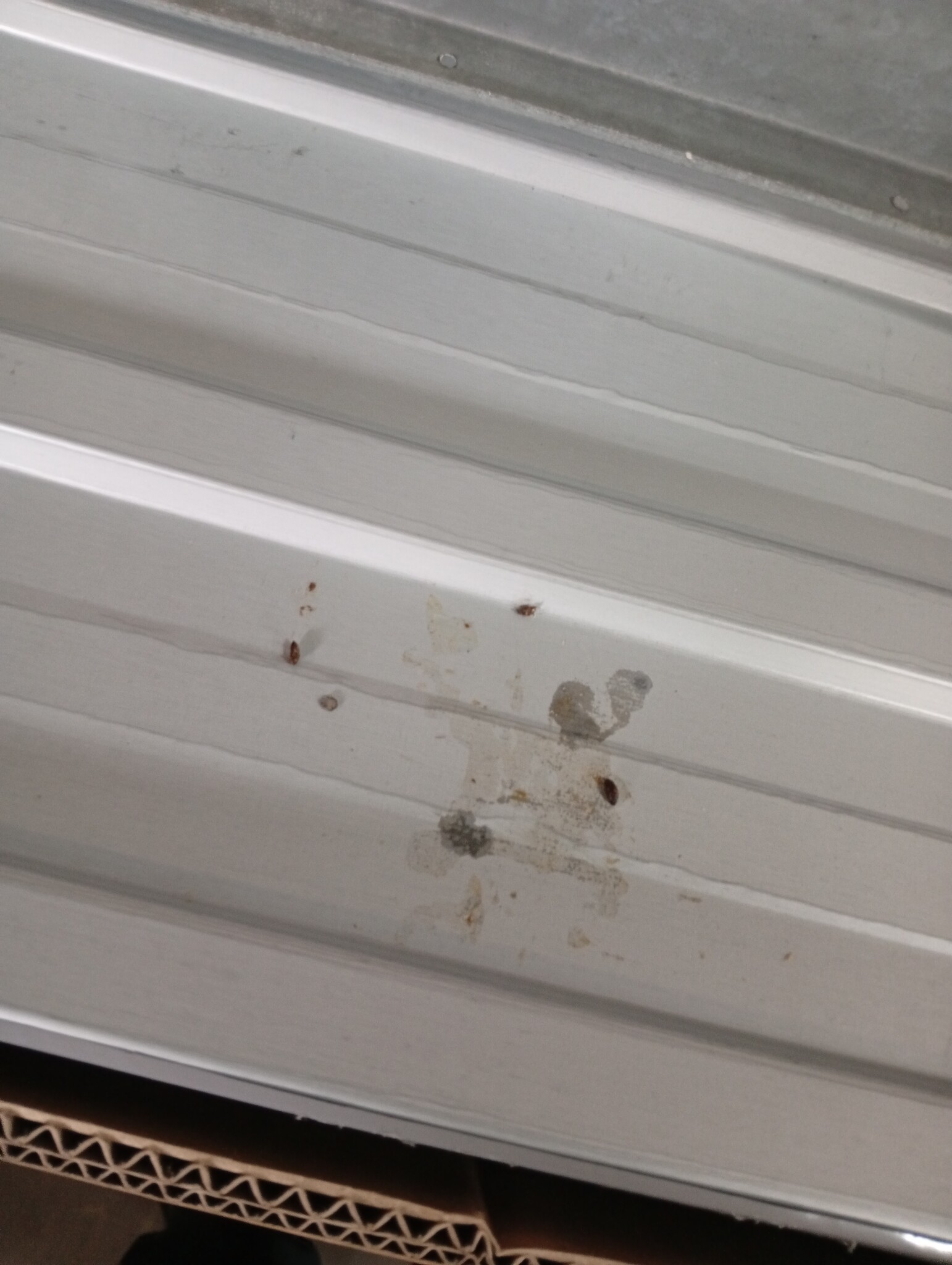 vidaXL Tuinschuur Grijs Staal 277x192,5x179 cm - 55% Korting!