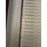 vidaXL Kamerscherm 3 panelen Paulowniahout - 60% Korting