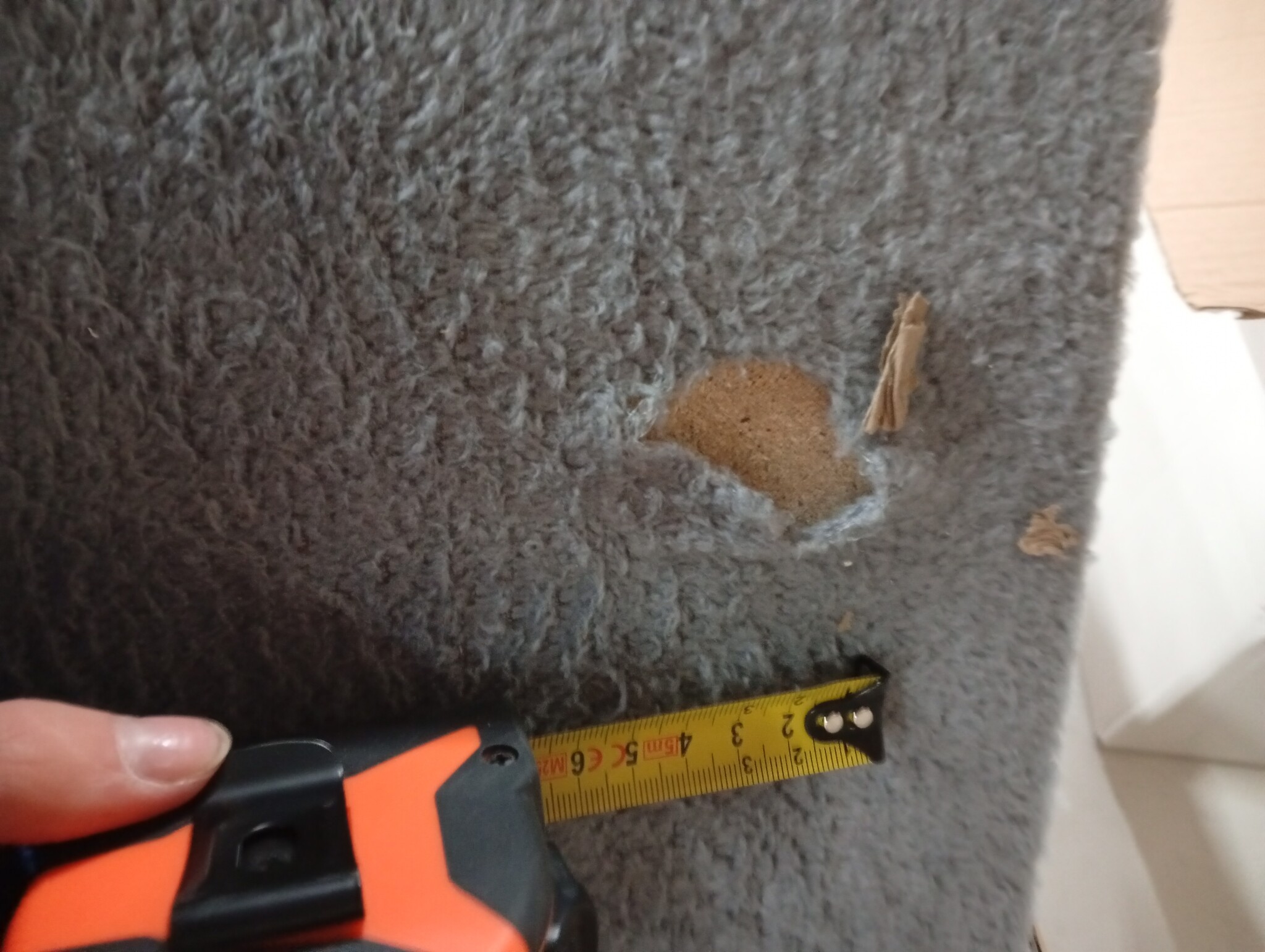 vidaXL Kattenmeubel met sisal krabpalen 180 cm lichtgrijs