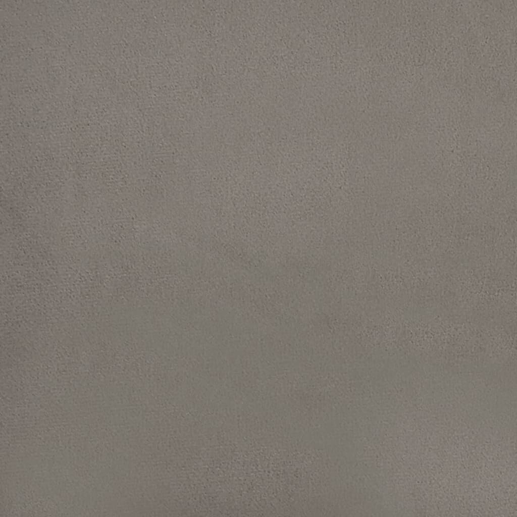 vidaXL Sierkussens 2 st. 40x40 cm - Fluweel Lichtgrijs (57% Korting!)