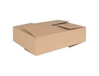 vidaXL Vouwdoos Bruin 50 stuks - Nu met 55% Korting!