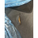 vidaXL Massagestoel Elektrisch Verstelbaar Stof Donkergrijs - 60% Korting!