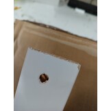 vidaXL Bedframe Grenenhout Wit 120x200 cm - Nu 55% Korting!