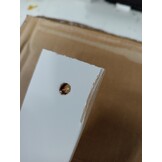 vidaXL Bedframe Grenenhout Wit 120x200 cm - Nu 55% Korting!