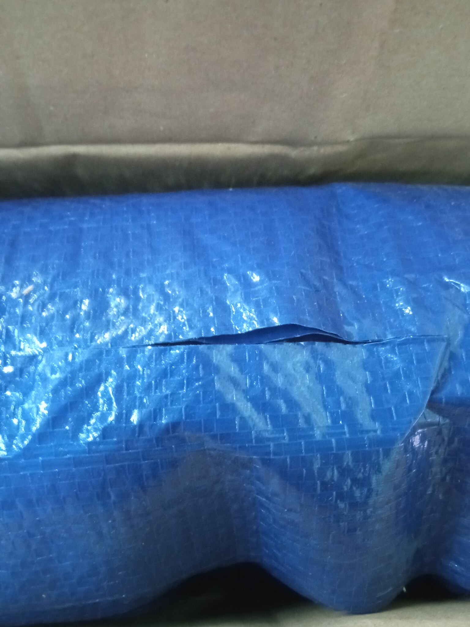 Plenta na basen 540x270 cm niebieska PE 90 g/m²