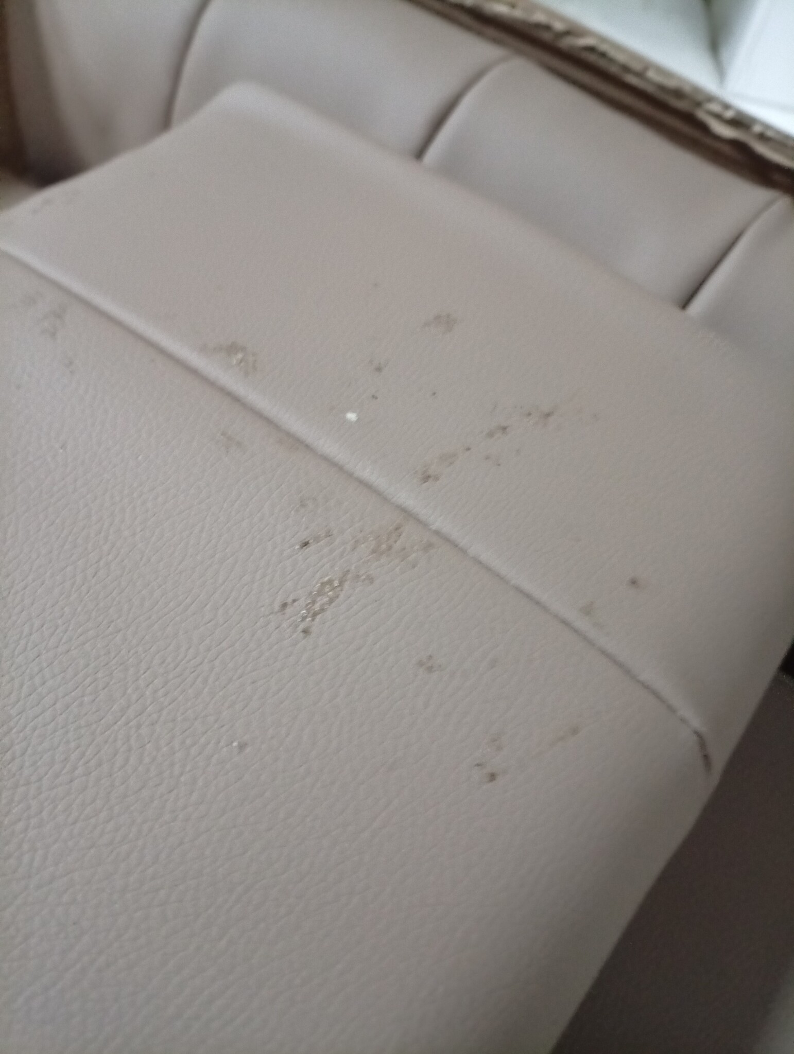 vidaXL Kinderbank Cappuccino (90x53x30 cm) - 59% Korting!