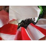 vidaXL Opblaasbare Kerstboog Kerstman & Sneeuwpop 223cm - 64% Korting