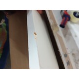 vidaXL Hoofdbord Massief Grenenhout Wit - 55% Korting!