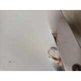 vidaXL Wandschap RVS - 50x45x31 cm - 64% korting!