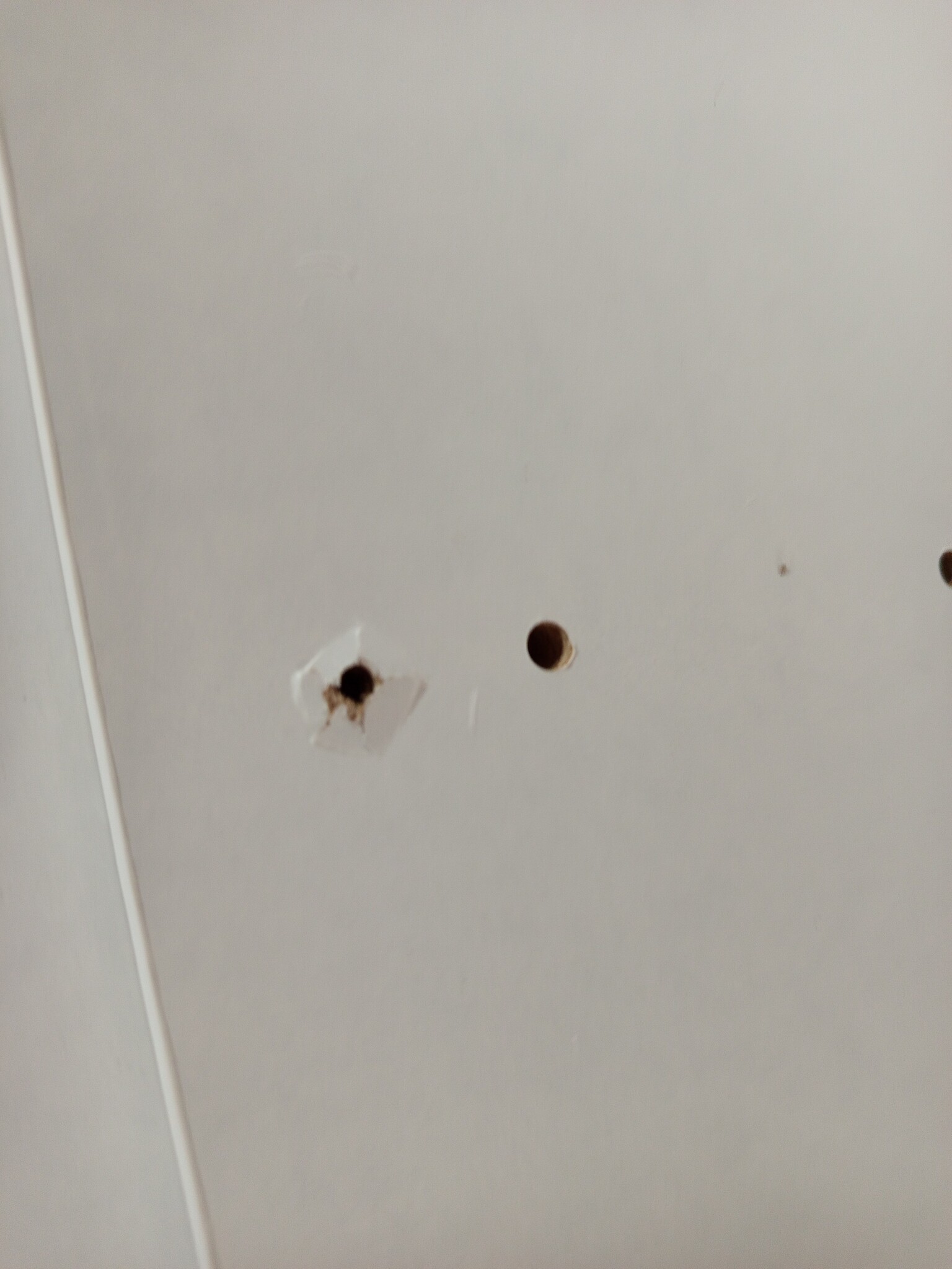 vidaXL Aquariumstandaard 81x36x73 cm Wit - 55% Korting!