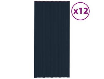 VidaXL Dakpanelen 12 st 100x45 cm Staal Antraciet - 60% Korting!