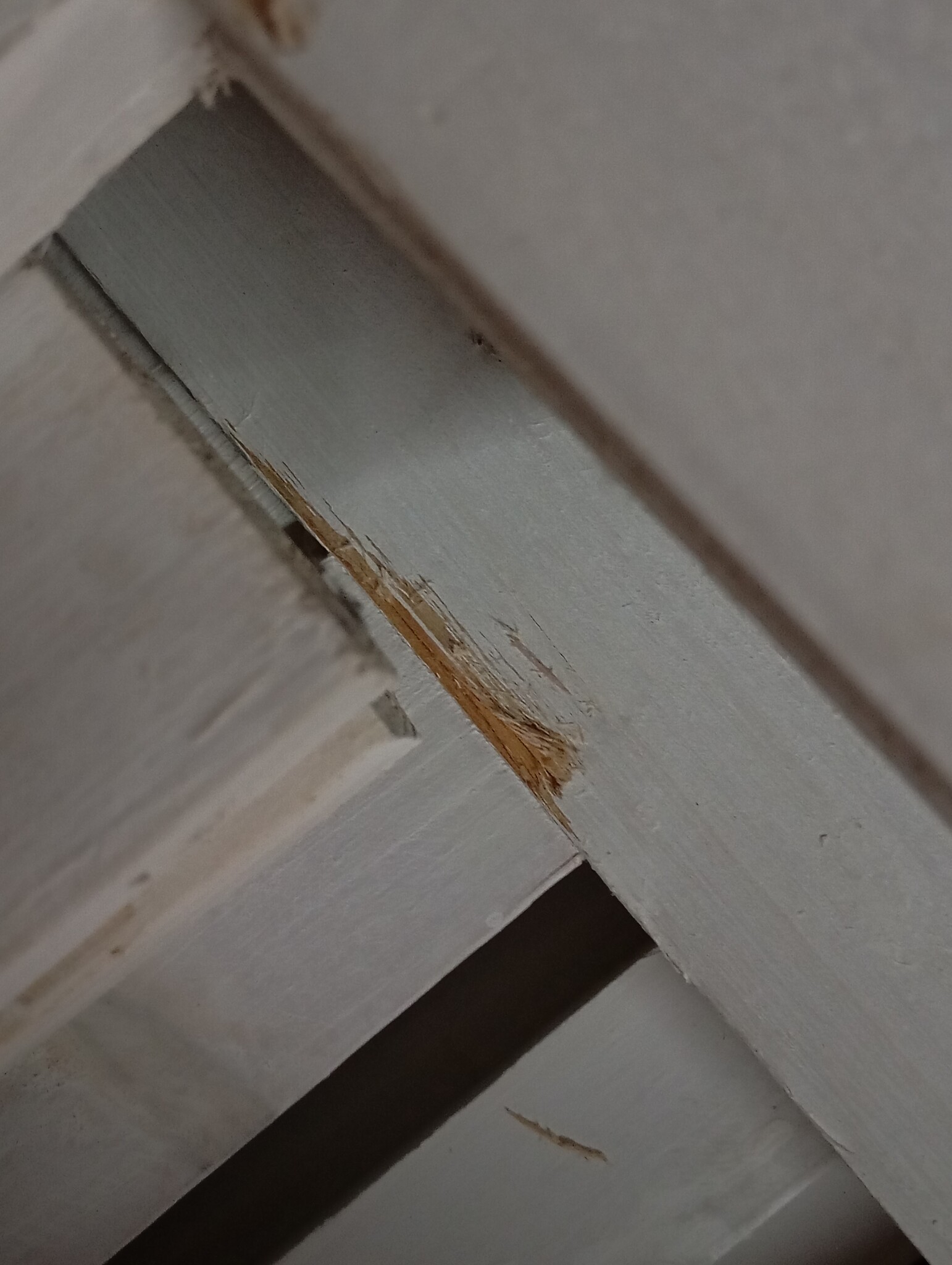 vidaXL Tuinbox Vurenhout Wit - 55% Korting!