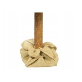 Kunst Kerstboom 180cm met Frame - 62% Korting