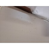 vidaXL Keukentrolley MONZA - Massief Grenenhout - 64% Korting!