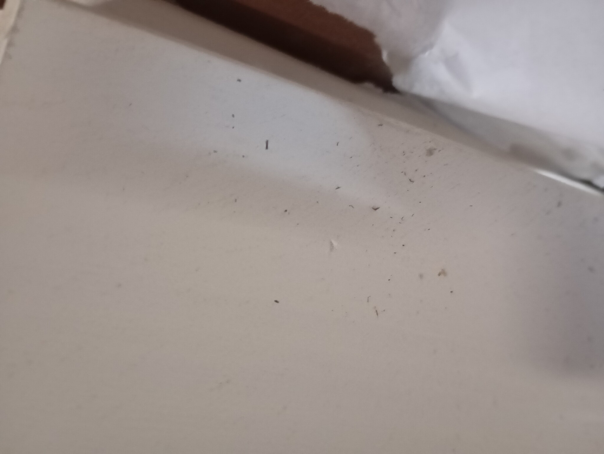 vidaXL Keukentrolley MONZA - Massief Grenenhout - 64% Korting!