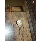 vidaXL Dressoir 60x31x70 cm bewerkt hout gerookt eikenkleurig