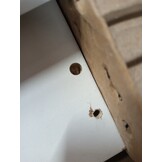 vidaXL Spoelbakonderkast bewerkt hout sonoma eikenkleurig