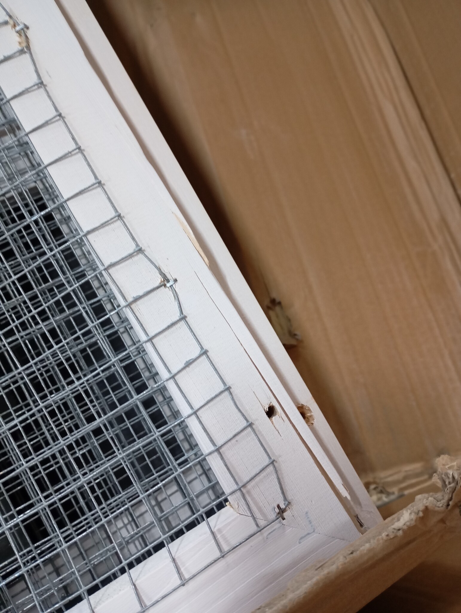 vidaXL Konijnenhok 310x70x87 cm massief grenen- en vurenhout grijs