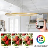Modern DIY Circle LED Chandelier | 1 Gold Rings:100cm=45W | Metal + Acrylic LED Pendant Lamp | 2.4G Dimmable Remote Control | Round Ceiling Pendant Light Living Room Bedroom Dining Room Kitchen