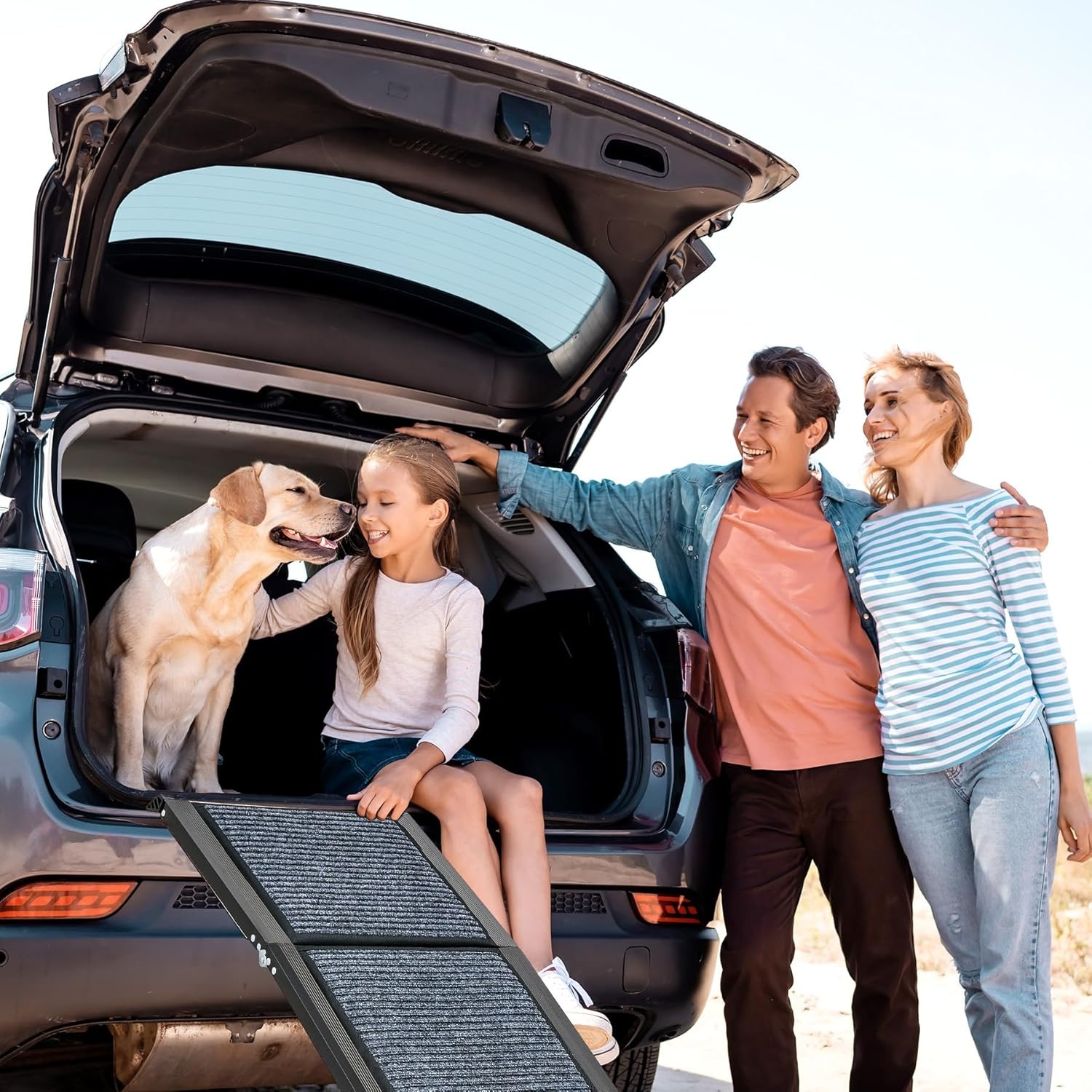 CO-Z Dog Ramp for Car, 160 cm Folding Pet Ramp for Large Dogs up to 90 kg with Non-Slip Rug Surface, Portable Dog Pet Stairs for Car SUV Truck Bed Sofa, Indoor and Outdoor Use