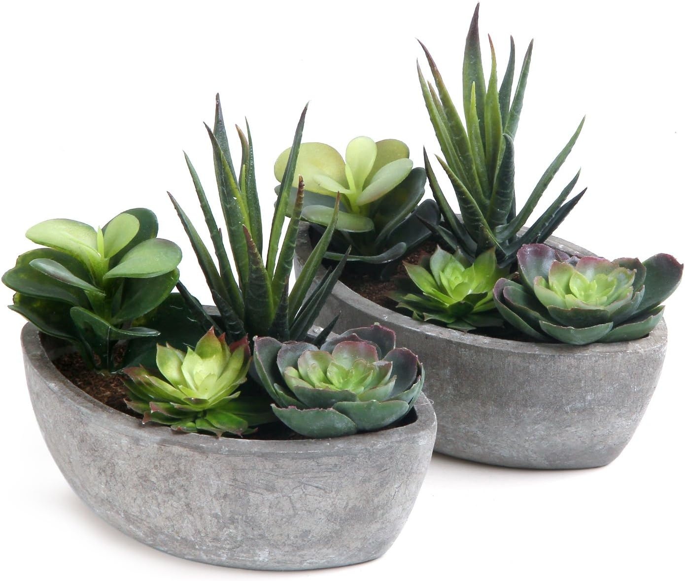 T4U Kunstplanten Succulenten - Mini Boot, 2 stuks, 30% Korting!