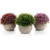 T4U Kunstplanten Succulenten - Mini Boot, 2 stuks, 30% Korting!