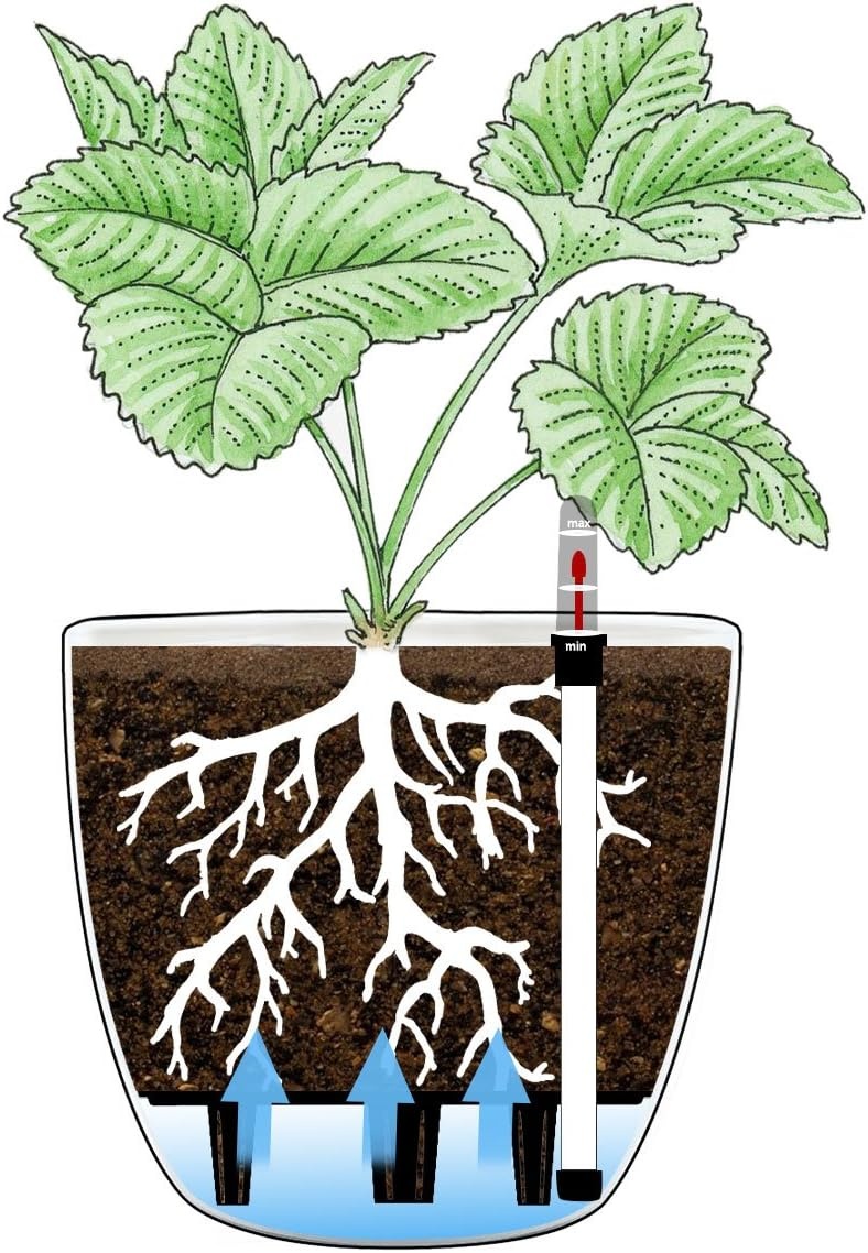 T4U Zelfbewaterende Bloempotten Set (4x15cm) - 30% Korting