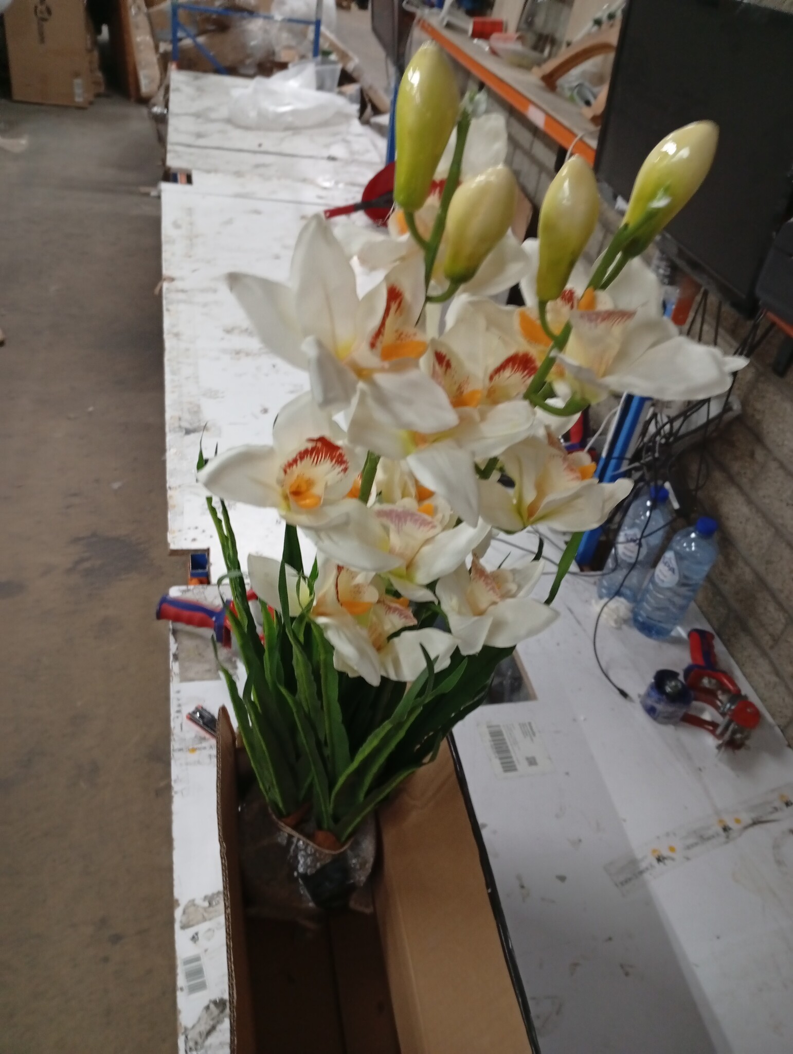 vidaXL Kunstplant Orchidee Cymbidium 100cm - 79% Korting