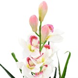 vidaXL Kunstplant Orchidee Cymbidium 100cm - 79% Korting