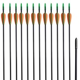 Recurveboog standaard met pijlen 30" 0,6 cm glasvezel 12 stuks