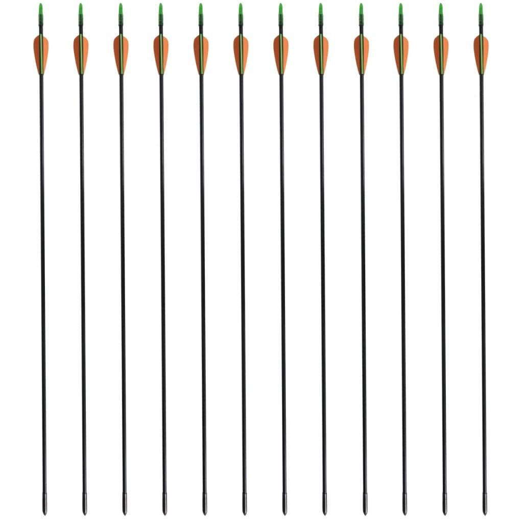 Recurveboog standaard met pijlen 30" 0,6 cm glasvezel 12 stuks