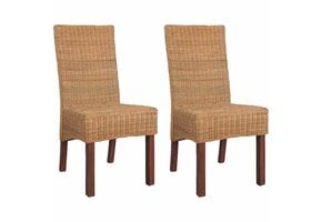 vidaXL Eetkamerstoelen 2 st Rotan Bruin | 53% Korting